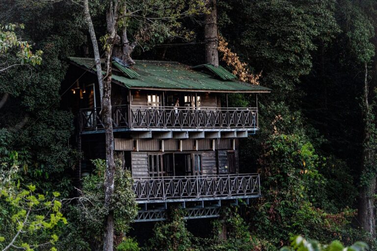 A large tree house nestled in dense green foliage